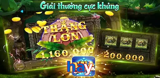 hay